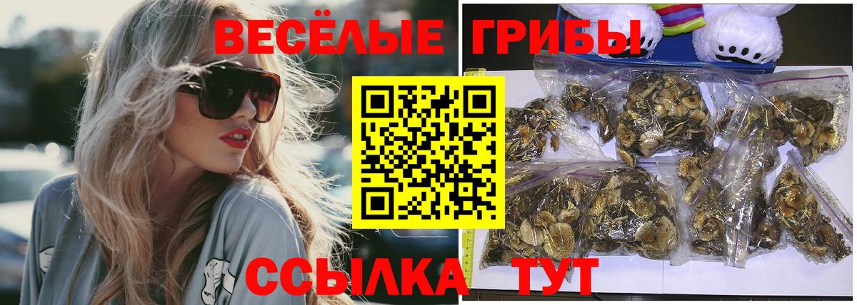 Псилоцибиновые грибы Psilocybe  Вход с VPN  наркошоп  Галлюциногенные грибы Cubensis  Бугуруслан 